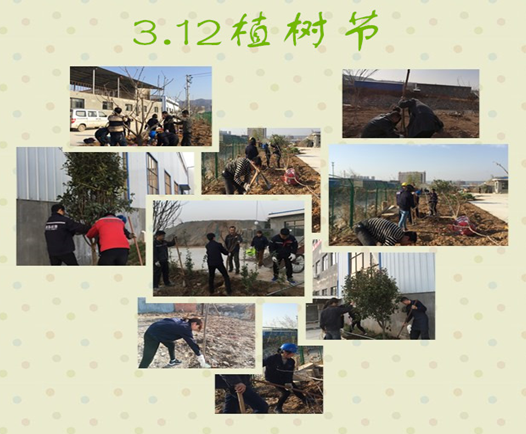 寶雞捷銳“迎春風(fēng)，綠家園”植樹(shù)節(jié)(圖3)